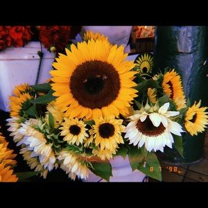 Meet your Posher, Nichole